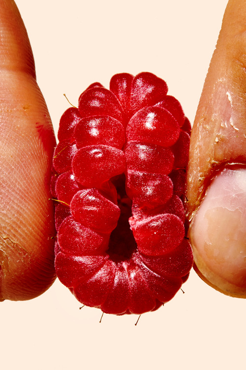 brokebitchantics:  jaanfe:  Why is this so sexual   why they hand look so nasty
