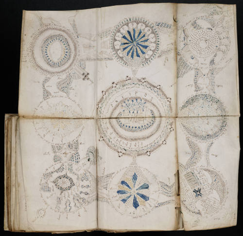 moon-medicine: The Voynich Manuscript is a mysterious text, written in an unknown language and fille