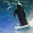 peachbeluga: when you bolt out of your cove to make the night guard dance the hempen jig   but he shuts the damn door on you just seconds before you reach him 