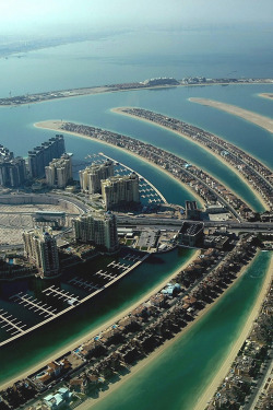 hold-the-fuck-up-bitch:  Palm Jumeirah c: