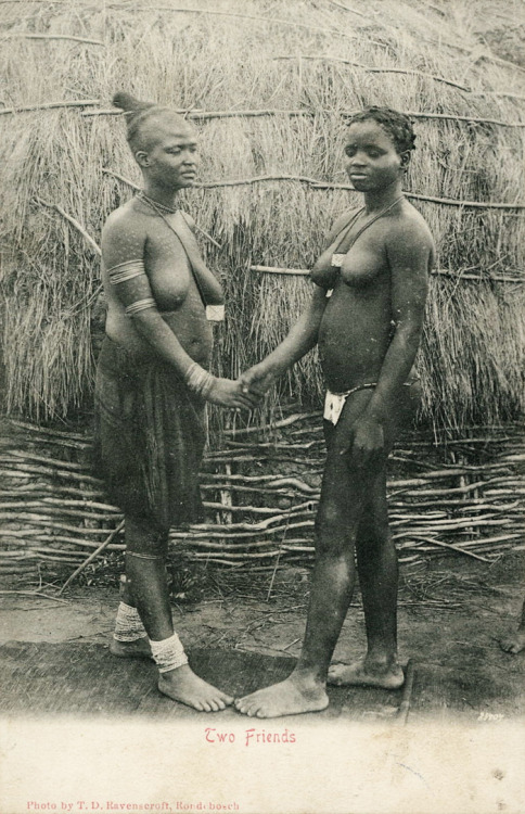 484px x 750px - grand-bazaar: 1900s Africa Tumblr Porn