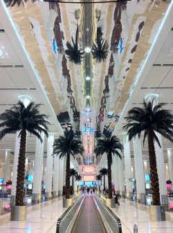 givexnchy:     Dubai Airport    ▲