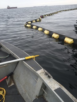 Got called in for a couple hours of work this morning and this baby seal tried to help us work on the boom. Almost pet it but couldn&rsquo;t do to actually working at that point , took these after we finished with it