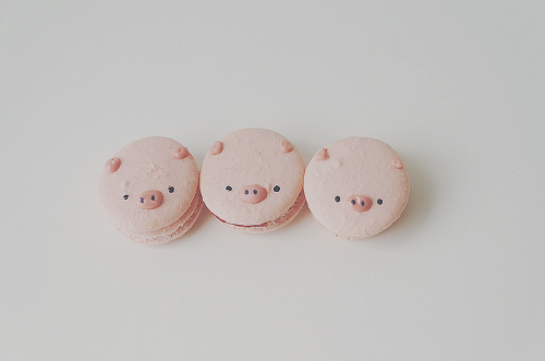 -kokoro:Three Little Pigs (by Erika Low)
