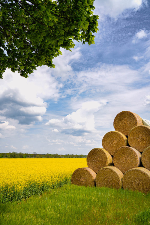 haylage II (wenn man schon mal da ist)dallgow-döberitz, brandenburg, 2022