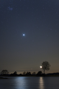 oculi-ds:  Moon conjunction. by ~AdamMajchrzak In the center of the picture is Venus. 