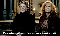 sergantbucky:Harry Potter Meme: ↪Female characters [6/10] - Minerva McGonagall