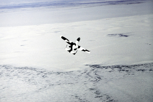 neffelo:  bloodymagnum:  Fairchild Republic A-10 Thunderbolt II / Warthog   The A-10 is being used during exercise Cool Snow Hog ‘82-1. Photographer’s Name: SSGT Bill Thompson. Location: KOTZEBUE AIR STATION. Date Shot: 3/8/1982. Date Posted: unknown.