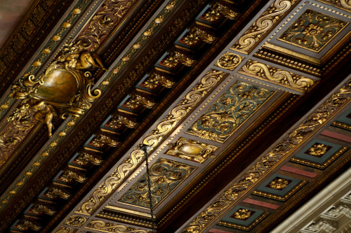 endlesslibraries: Ceiling of the Reading Room - New York Public Library (by Scott Norsworthy)