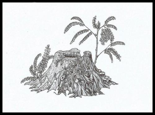 Life Goes On. Yesterday facebook reminded me six years ago I had drawn this black locust (Robinia ps