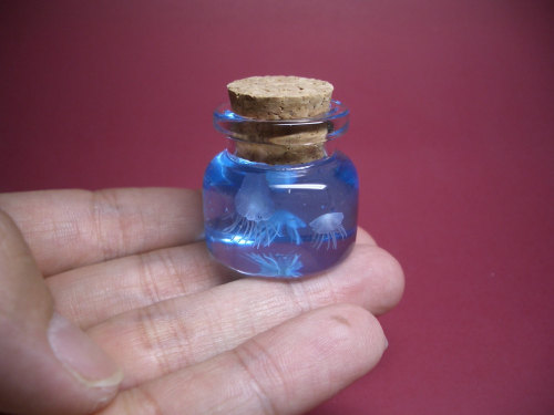 fer1972:  Tiny Worlds in a Bottle 