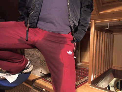 wetjeans6:  pissed shiny trackies, I love it 