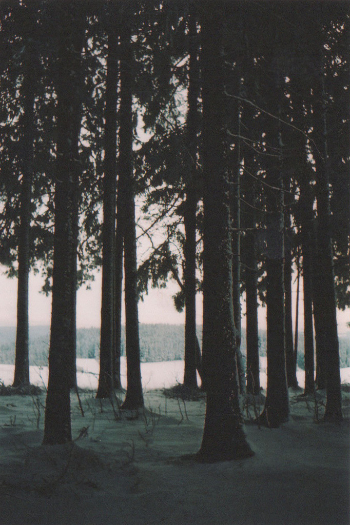brutalgeneration:  (by Silvia Conde)