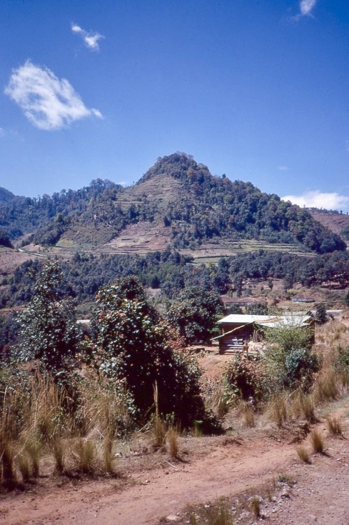 Campos de tierras altas (¿milpas?), cerca de San Cristóbal de las Casas, Chiapas, 1990. It was not c