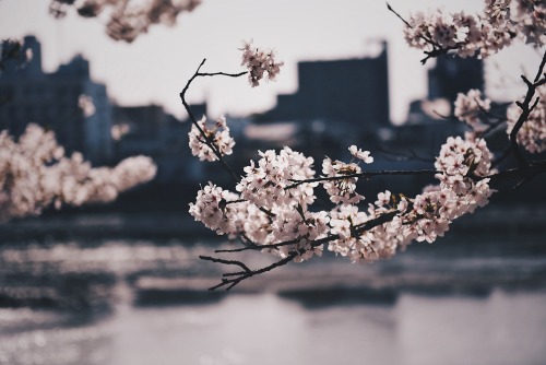 The Warmth Within Faded Memories Will Never Disappear.
