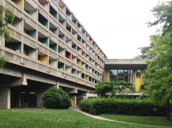 shaoyi-l:   Brazil House  1959 Le Corbusier