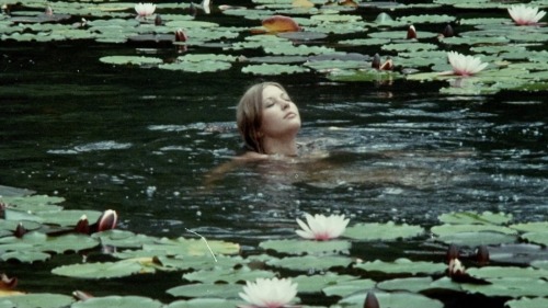 ladamarossa: Left: X (2022) Right: A Virgin Among the Living Dead (1973)