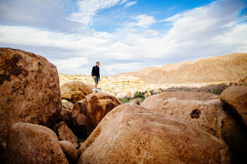 Portrait Season out here in Joshua Tree.