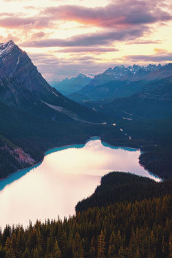 mstrkrftz:  Peyto Lake Dusk  by Paul Bruins 