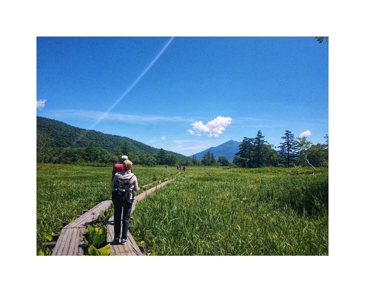 トレッキングポール Tumblr Posts Tumbral Com トレッキングポール Tumblr Posts Tumbral Com