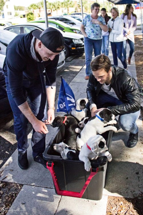 Puppies! A box of them!!! And some guys.