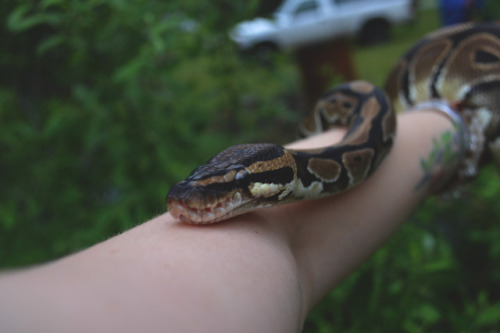 megarah-moon:A real nature boyInstagram- megarahmoon