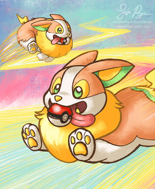 risachantag:COME GET IT!Yay, we finally get a corgi themed pokemon! So apparently Yamper can fetch f