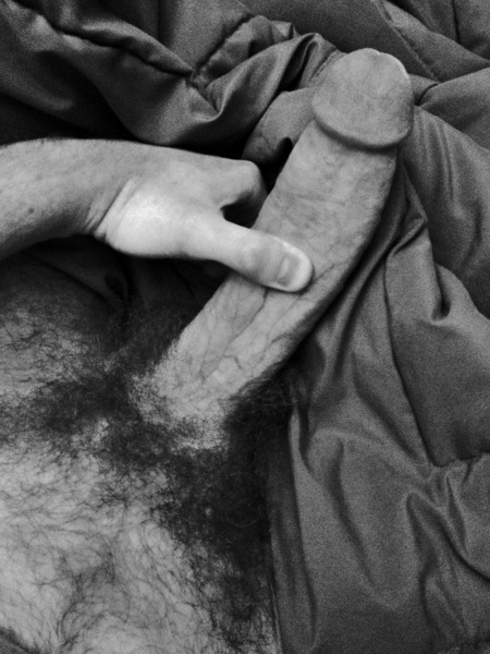 bigveinycock:  Jerking off in the guest room again.  