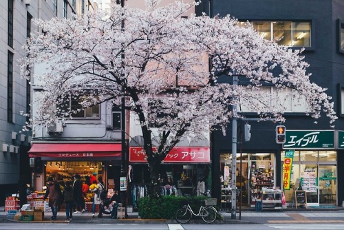 takashiyasui:Everyday life in Tokyo