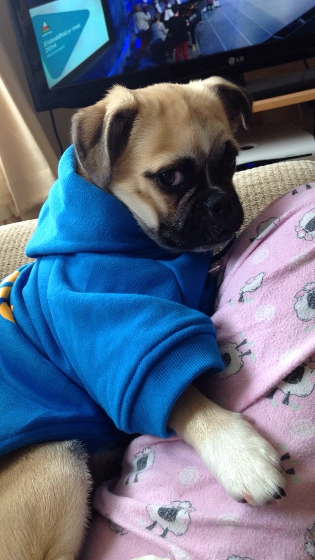 amy-danielle:  Sam’s new hoodie 😎