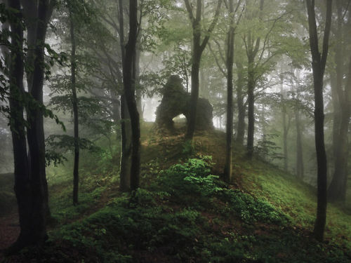 alloyallusion:Photos by Kilian Schönbergerwww.wired.com/rawfile/2014/02/brothers-grimm-h