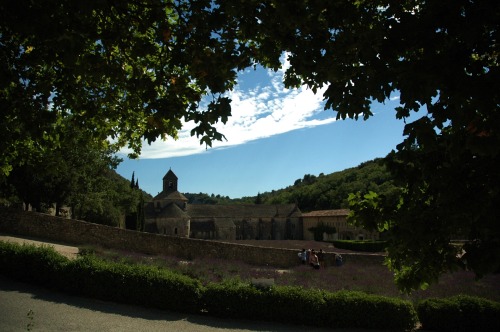 Abbazia di Senanque