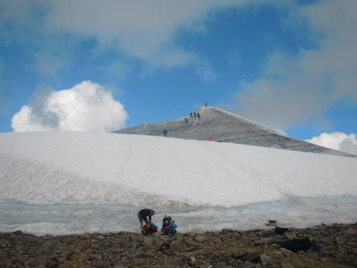 On top of the world (or on top of Sweden at least) The hike from kebnekaise mountain lodge (and