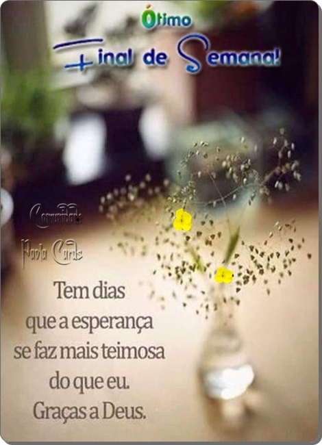 e832cceb082bc79b6abf3e90d0f0e55765a44f37