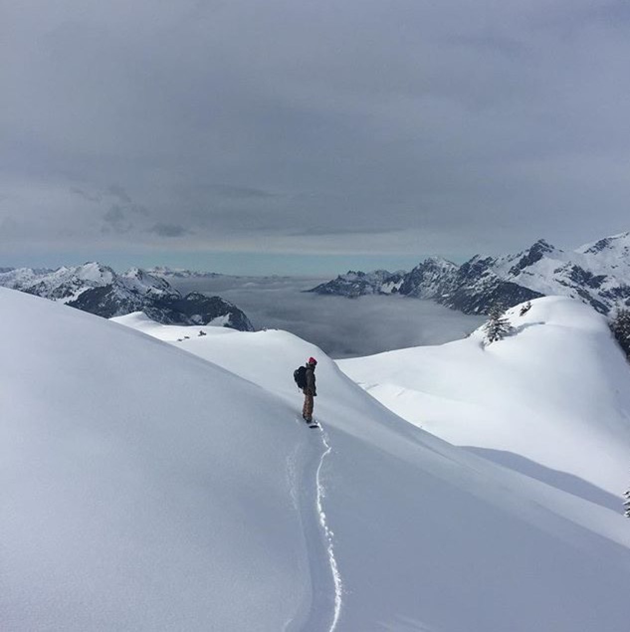 vansalloverthewall:  Mikkel Bang
