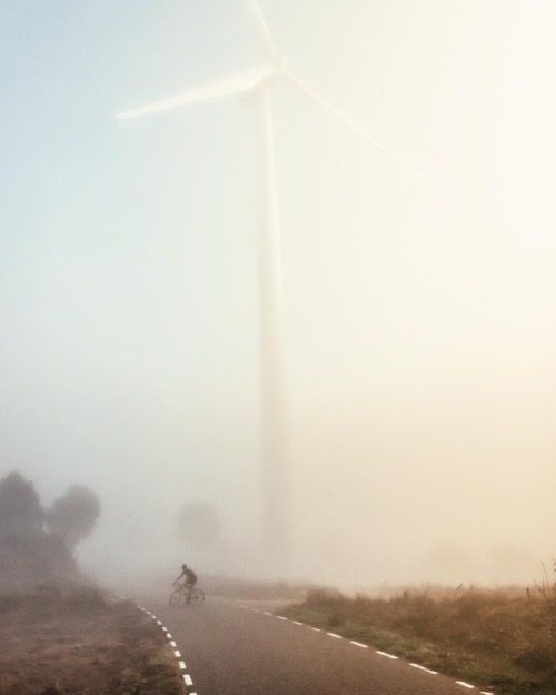 imbrazodehierro: One year ago… Riding in the mist, with those giants, in the first hours of the day.
