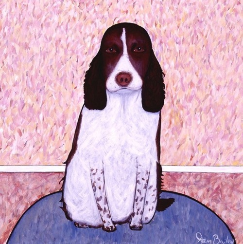 dionyssos: Ken Bailey , Patience English Springer Spaniel