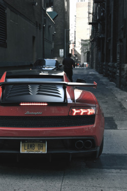 Artoftheautomobile:  Lamborghini Gallardo Sts (Credit: Erik Bashatly)