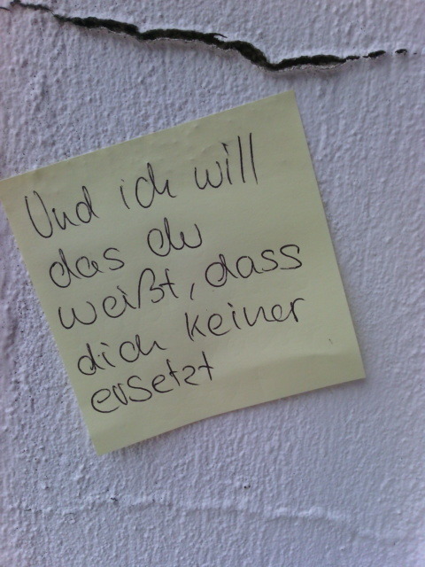 prinz-pi-aus-prinzip:  &ldquo;Und ich will das du weißt, dass dich keiner ersetzt&rdquo;