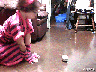 Pet loves her playtime.