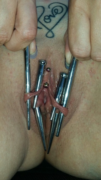 mmpiercing: Wife works to make the piercing holes bigger. ☺ I hop for success. Anyone else want to s