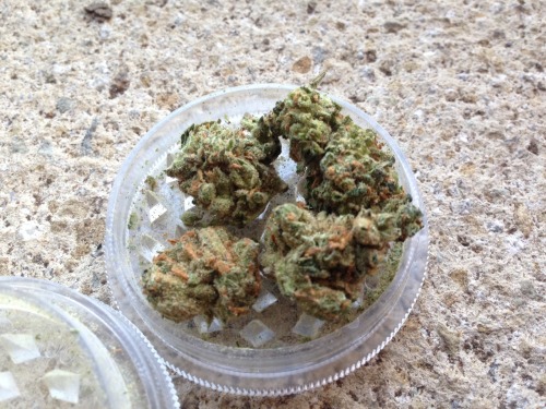 santa-loves-acid:  2g of kush