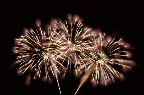 liremir-through-the-lens: Turning fireworks into flowers. Photos by me.Albuquerque Internationa