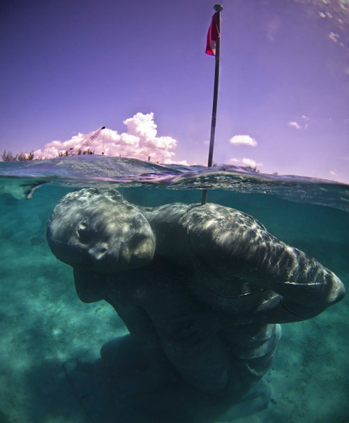 neverxfollow:  itscolossal:  Installed earlier this month in the Bahamas, “Ocean Atlas“ by Jason deCaires Taylor depicts a young Bahamian girl carrying the weight of the seas. It is the largest sculpture ever deployed underwater and is built from