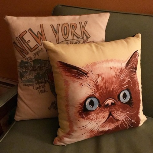 Gus makes a great #pillow addition. ✨ #interiordesign #catpillow #catart #petpillow #squeezeyourpets