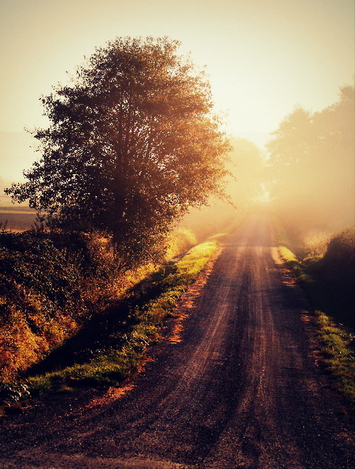 a little bit country.