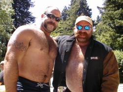 bearluvr2479:  Daddies, Bears, and Cubs!