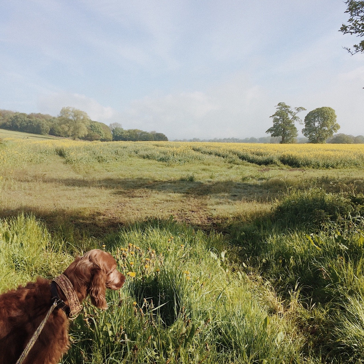 Countryside life гайд. Countryside Life. The countryside Notebook. In the countryside story. Welcome to countryside.