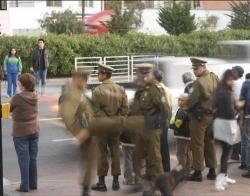 conciencia-animal:    En el día del Carabinero,