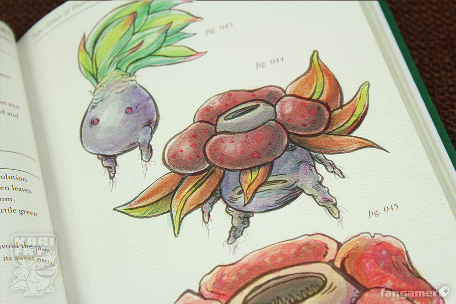 otlgaming:  GOTTA READ ABOUT ‘EM ALL: KANTO FIELD GUIDE The talented illustrator,